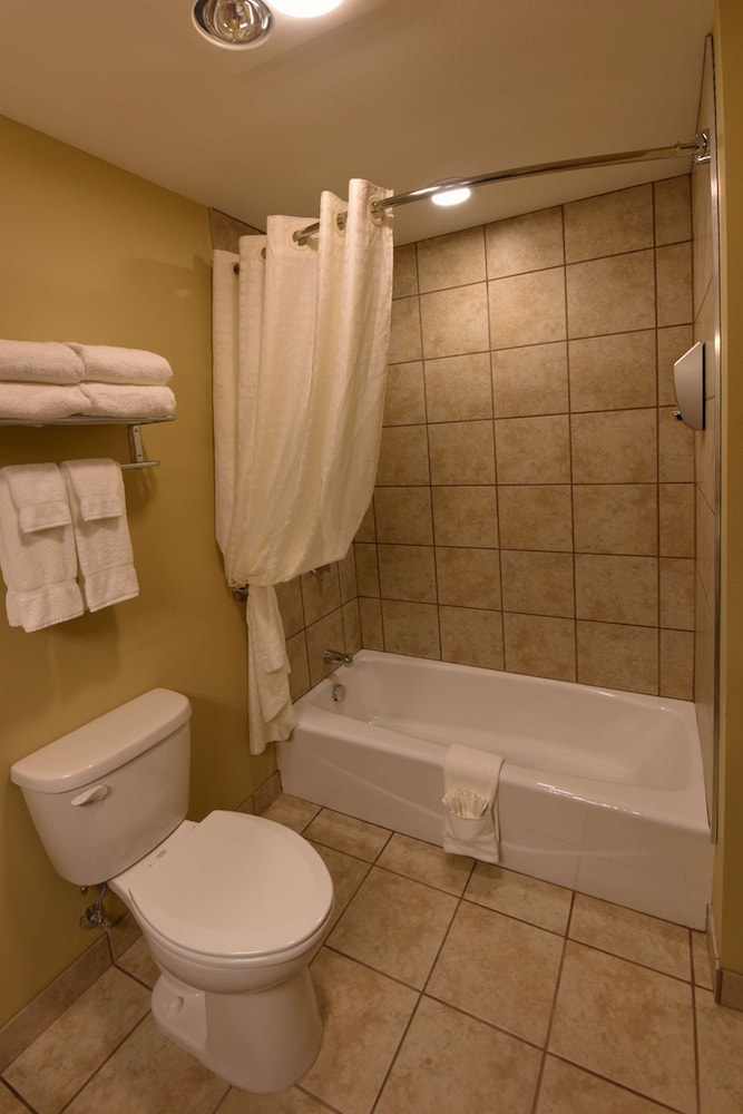 Suite, Multiple Beds, Non Smoking, Kitchen - Photo 5