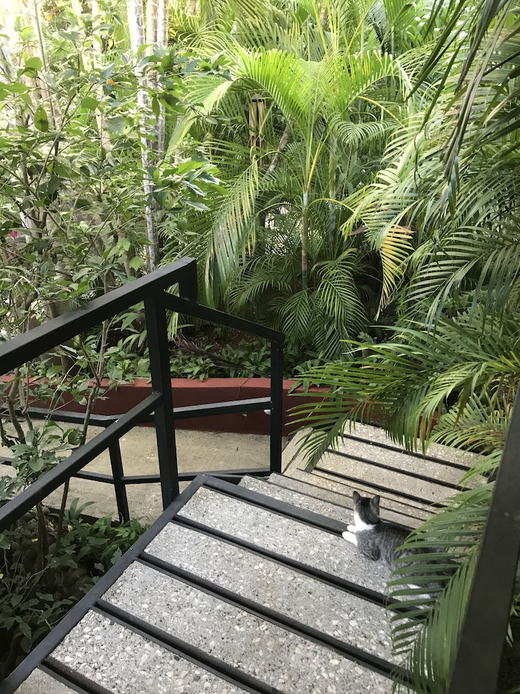 Standard Garden View photo 2