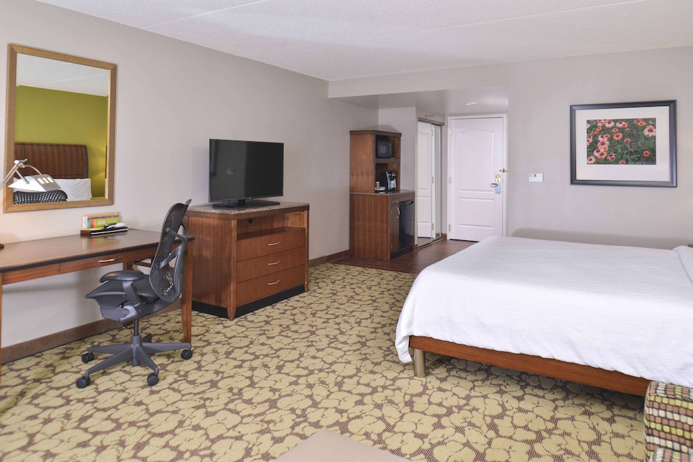 Room, 1 King Bed - Photo 5