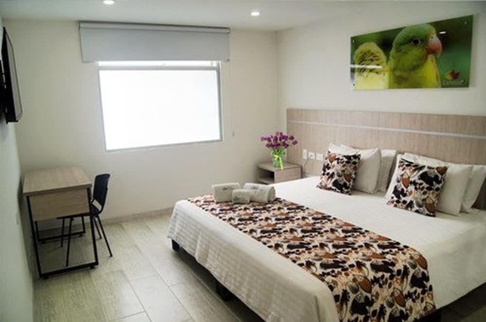 Standard Double Room photo 1
