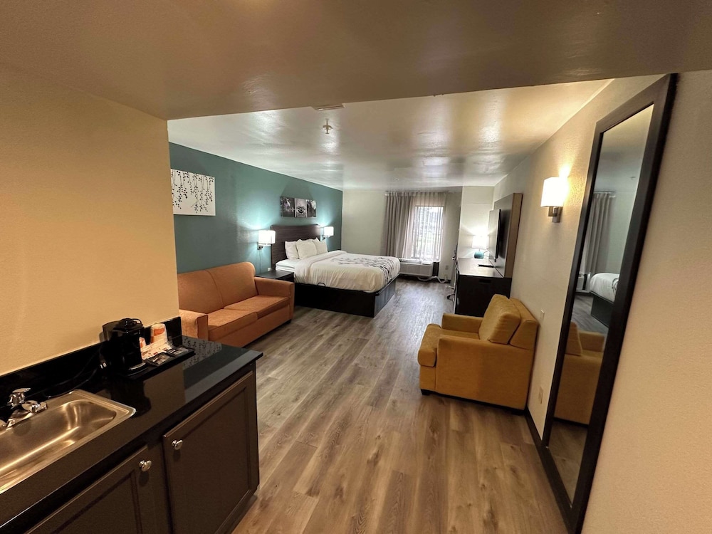 Business Room, 1 King Bed, Accessible, Non Smoking - Photo 5