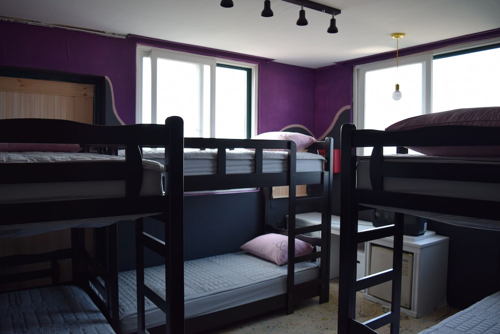 Standard Shared Dormitory, Women only photo 1