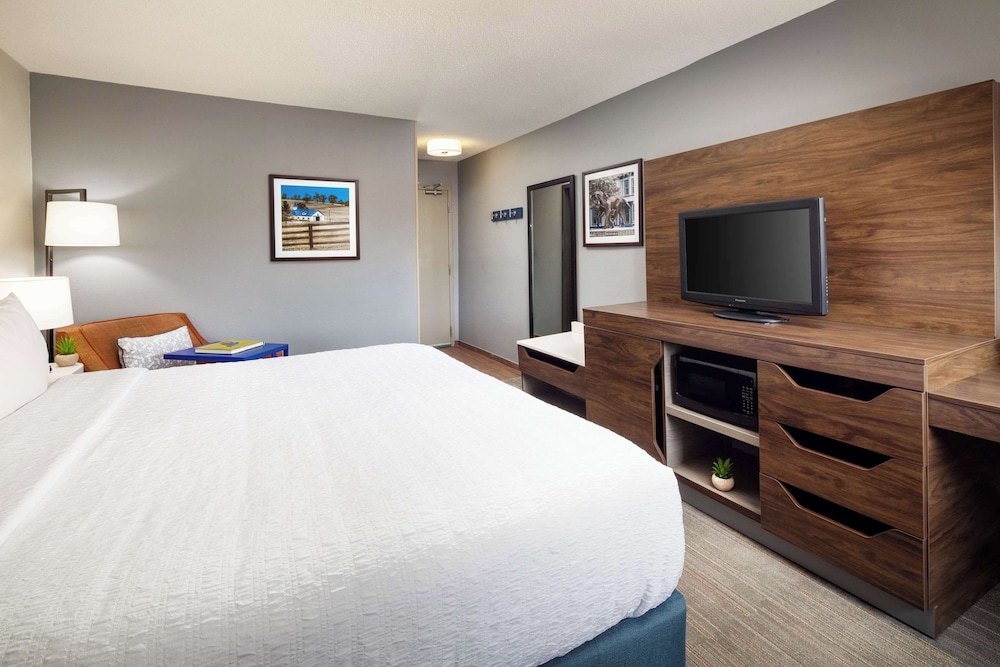 Room, 1 King Bed, Accessible, Non Smoking - Photo 4