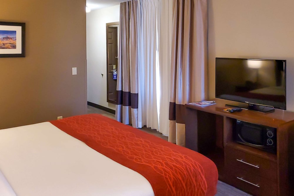 Standard Room, 1 King Bed, Accessible, Non Smoking photo 3