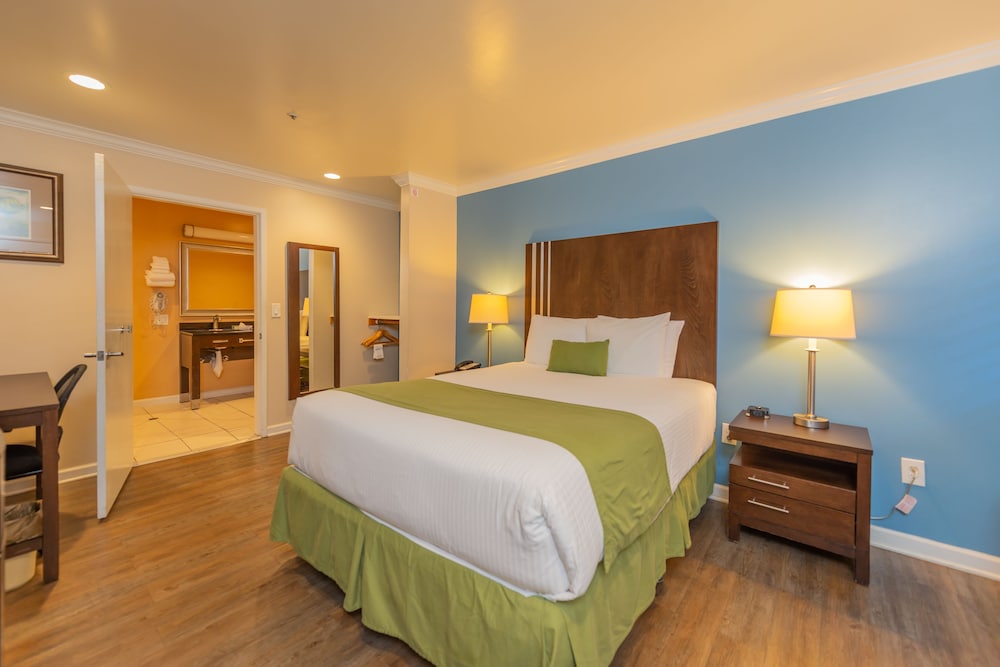 Room, 1 Queen Bed, Mobility Accessible - Photo 1