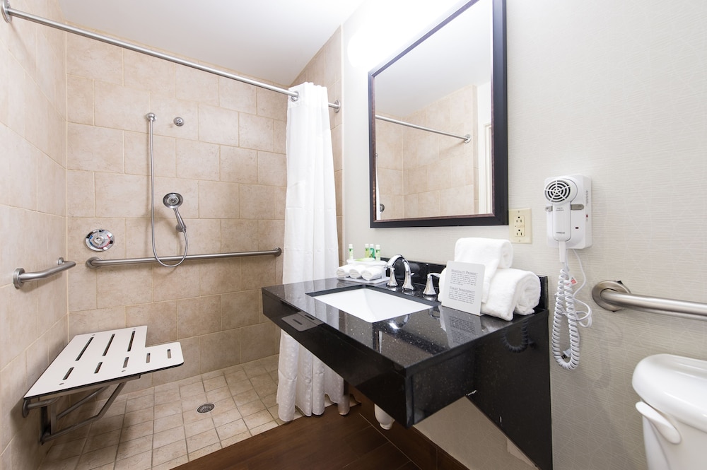 Suite, 1 Bedroom, Accessible (1 Kng, Comm, Roll Shwr) - Photo 5