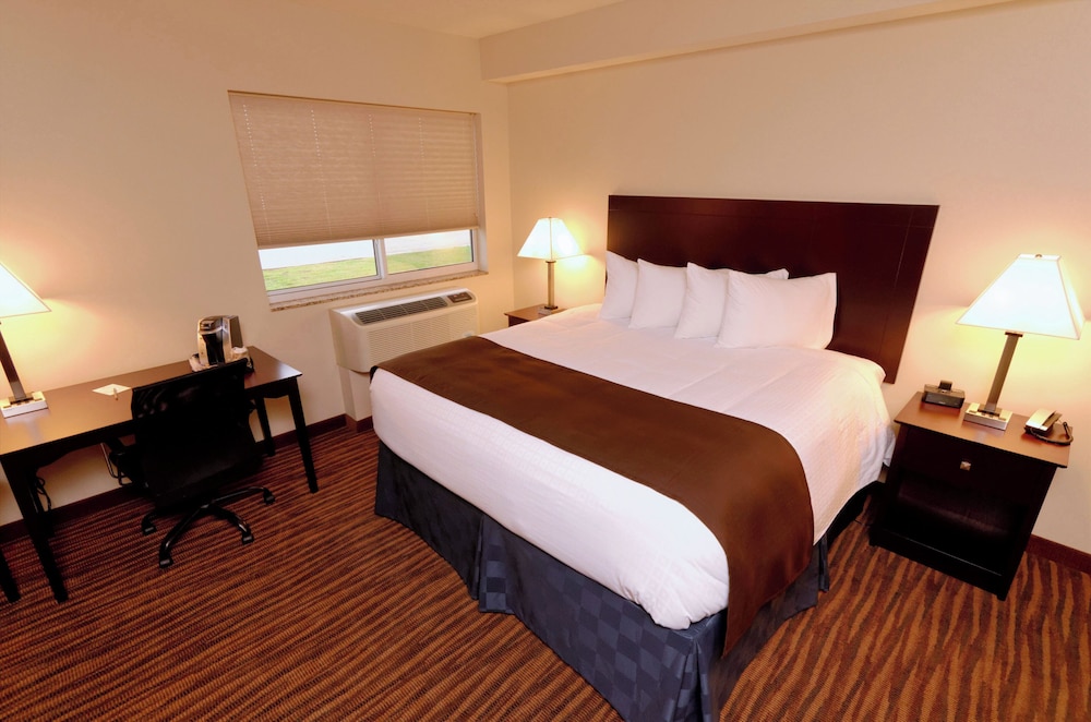 Suite, 1 King Bed, Non Smoking photo 3