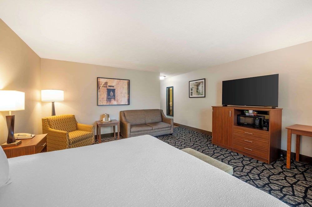 Standard Room, 1 King Bed, Non Smoking, Jetted Tub - Photo 4