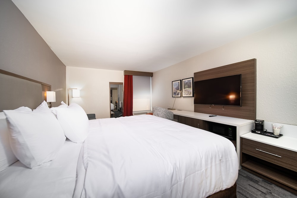 Room, 1 Queen Bed, Accessible, Non Smoking (Mobility Accessible w/ Roll in Shower) - Photo 5