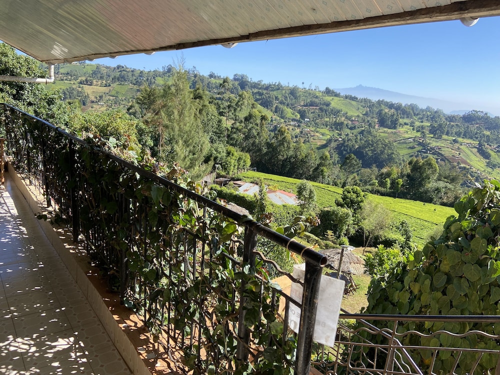 Superior Room, Balcony, Mountain View photo 3