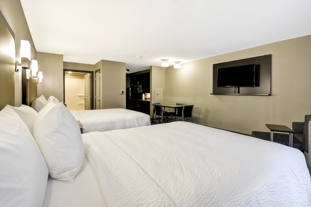 Studio, 2 Queen Beds