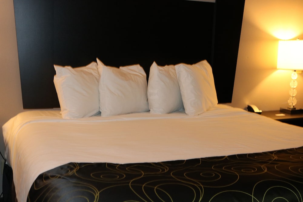 Executive Suite, 1 King Bed with Sofa bed photo 3