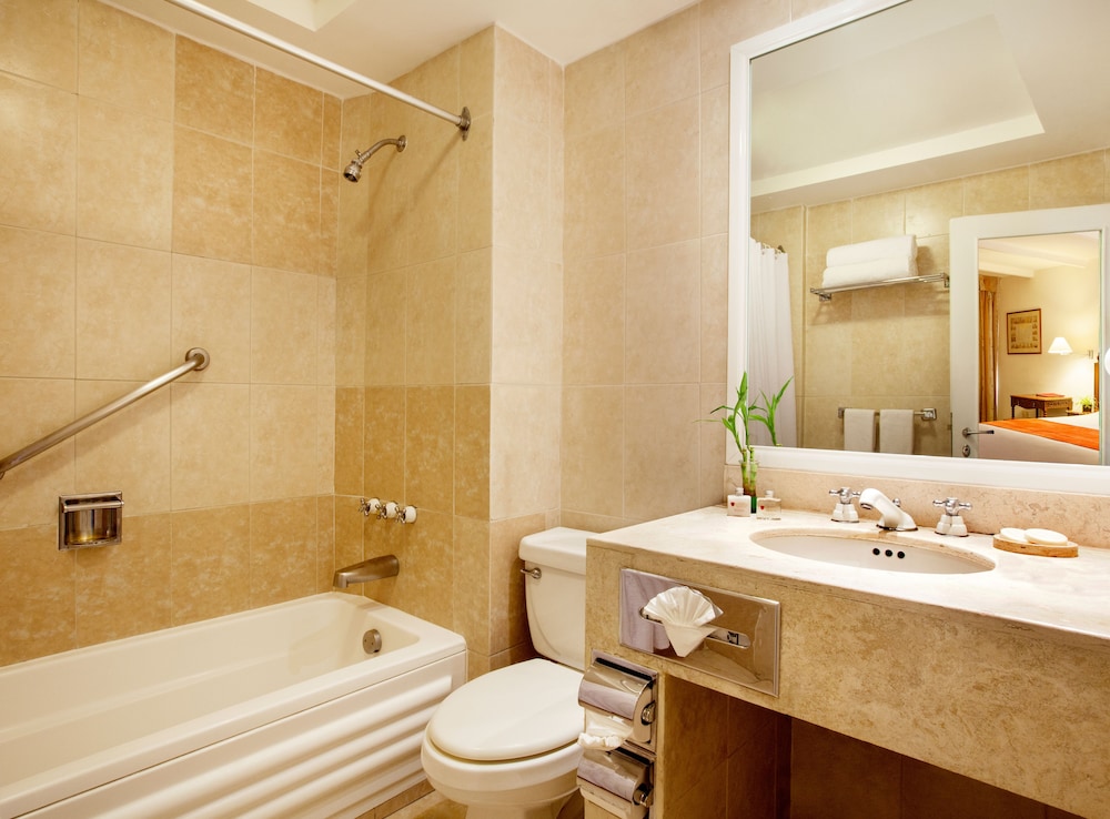 Deluxe Room - Photo 6