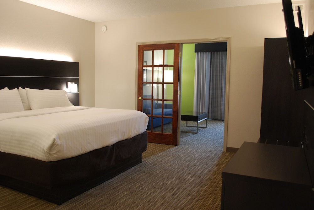 Suite, 1 King Bed - Photo 4