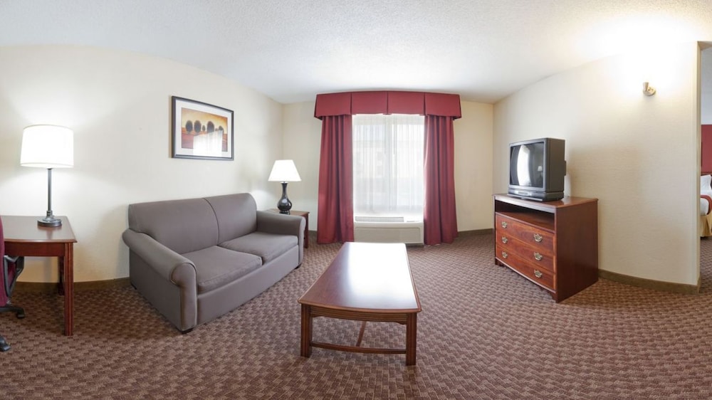Deluxe Suite, 1 King Bed, Non Smoking (One-Bedroom) - Photo 1