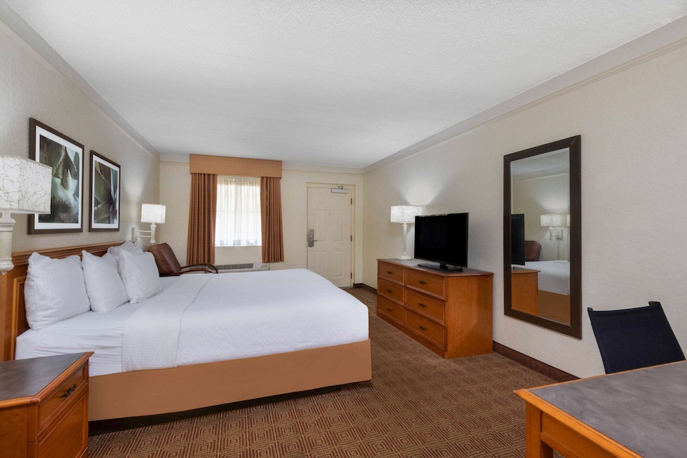 Suite, 1 King Bed with Sofa Bed - Photo 1