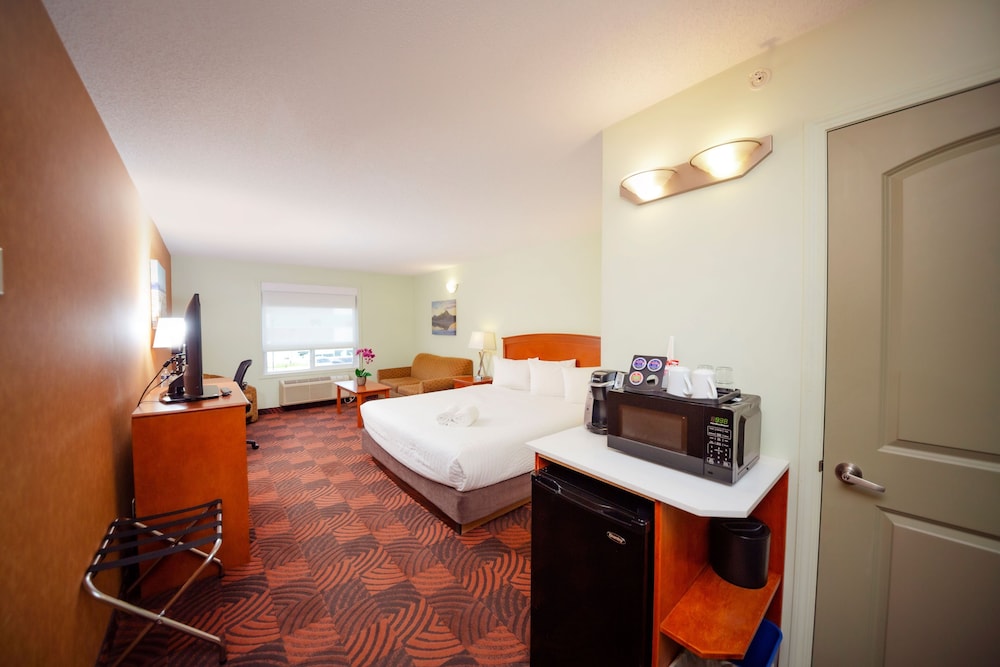 Standard Single Room, 1 King Bed with Sofa bed - Photo 3
