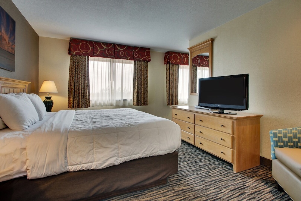 Suite, 1 King Bed