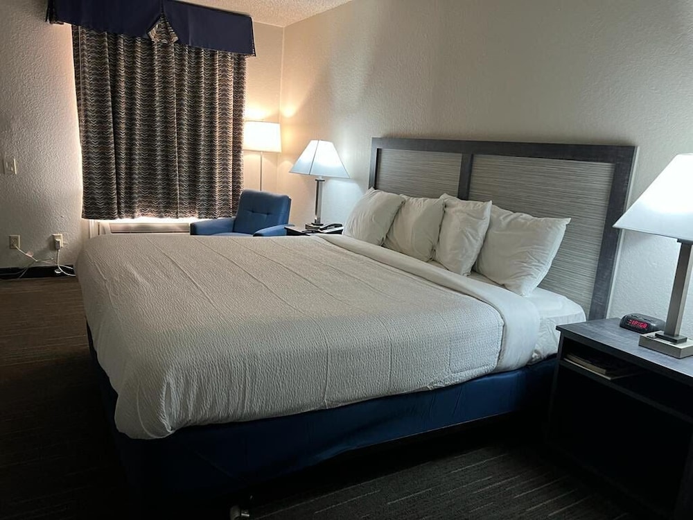 Deluxe Single Room photo 1