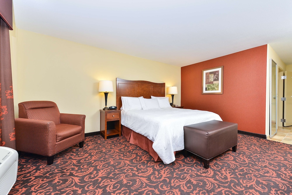 Room, 1 King Bed, Accessible, Non Smoking - Photo 1