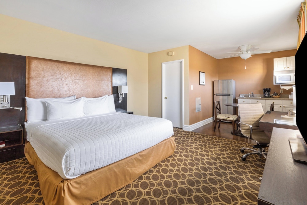 Studio Suite, 1 King Bed - Photo 1