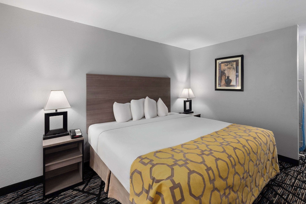 Standard Room, 1 King Bed, Accessible - Photo 5