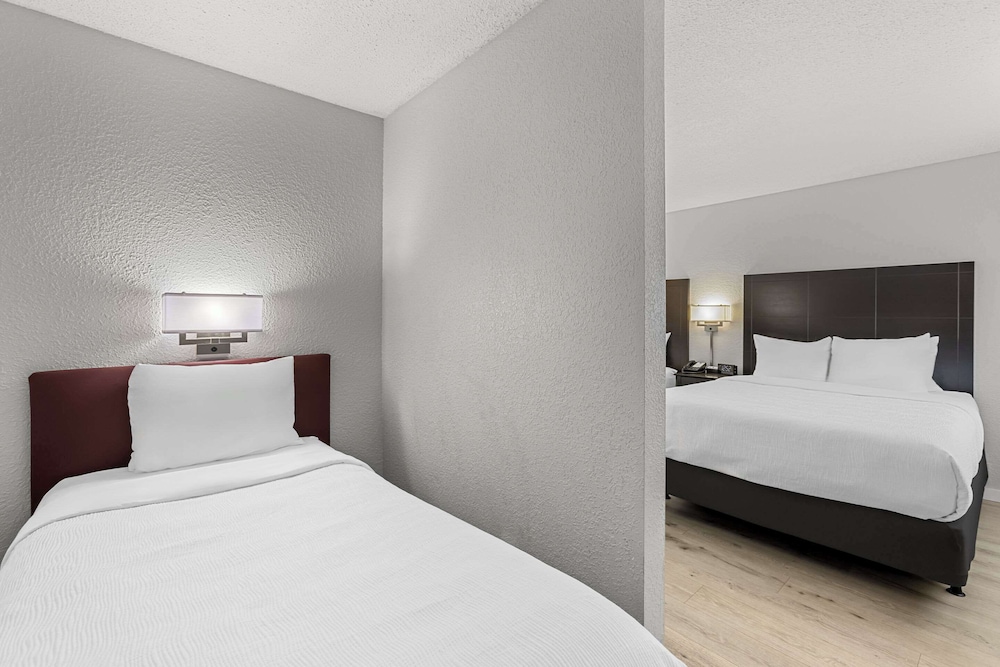 Room, Multiple Beds, Non Smoking photo 2