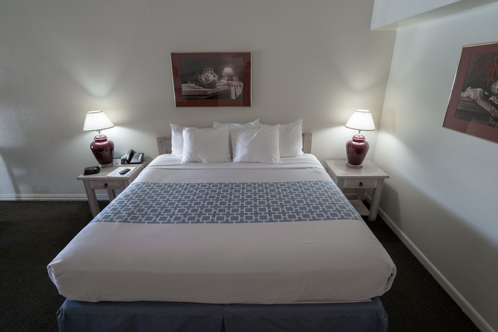 Standard Double Room, 1 King Bed, Non Smoking photo 3
