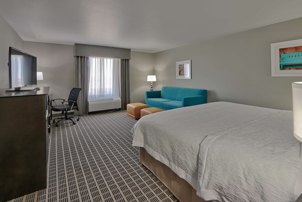 Room, 1 King Bed with Sofa bed, Non Smoking, Refrigerator & Microwave photo 3