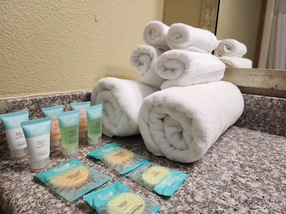 Deluxe Room, 1 King Bed, Accessible, Non Smoking (Pet Friendly) photo 3