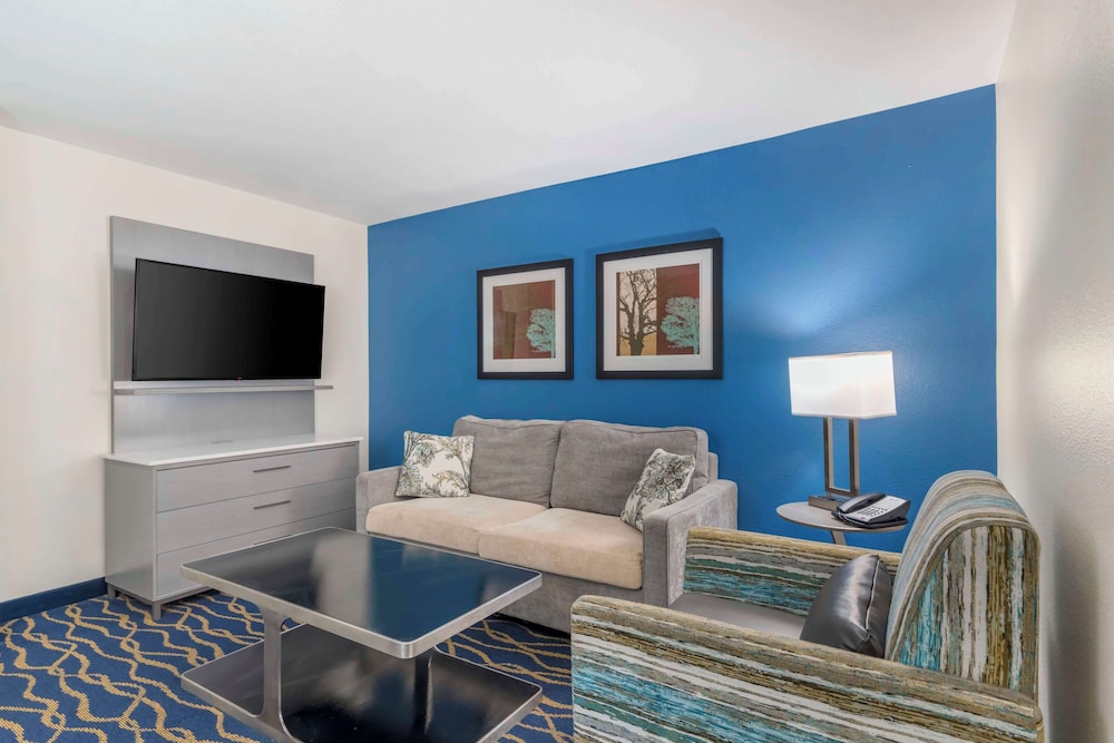 Room, 1 King Bed, Non Smoking, Refrigerator & Microwave (Pet Friendly) - Photo 3