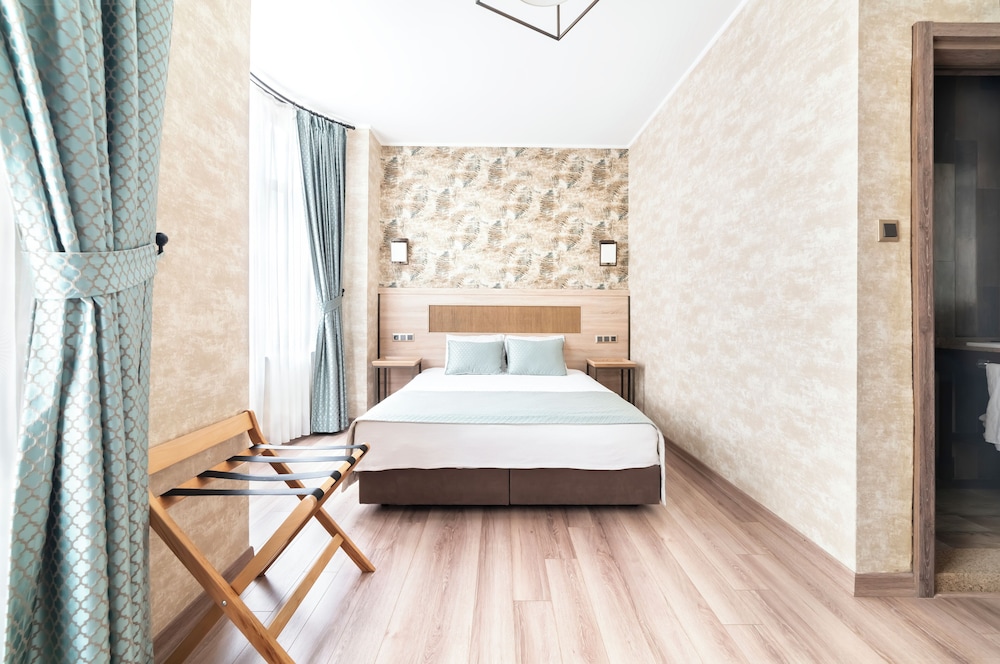 Deluxe Double or Twin Room photo 1