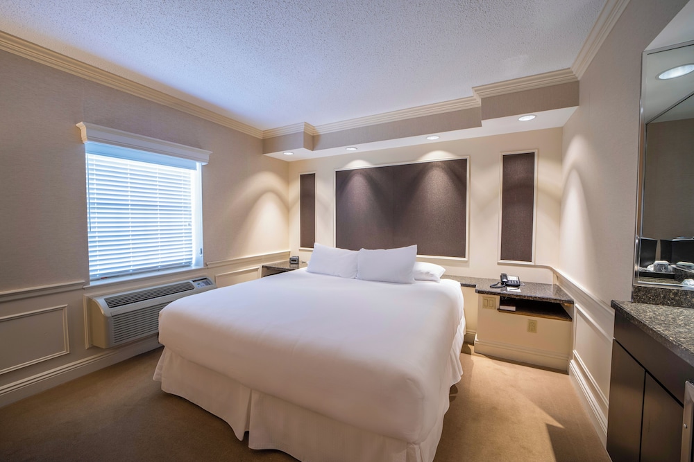 Premier Room, 1 King Bed photo 2