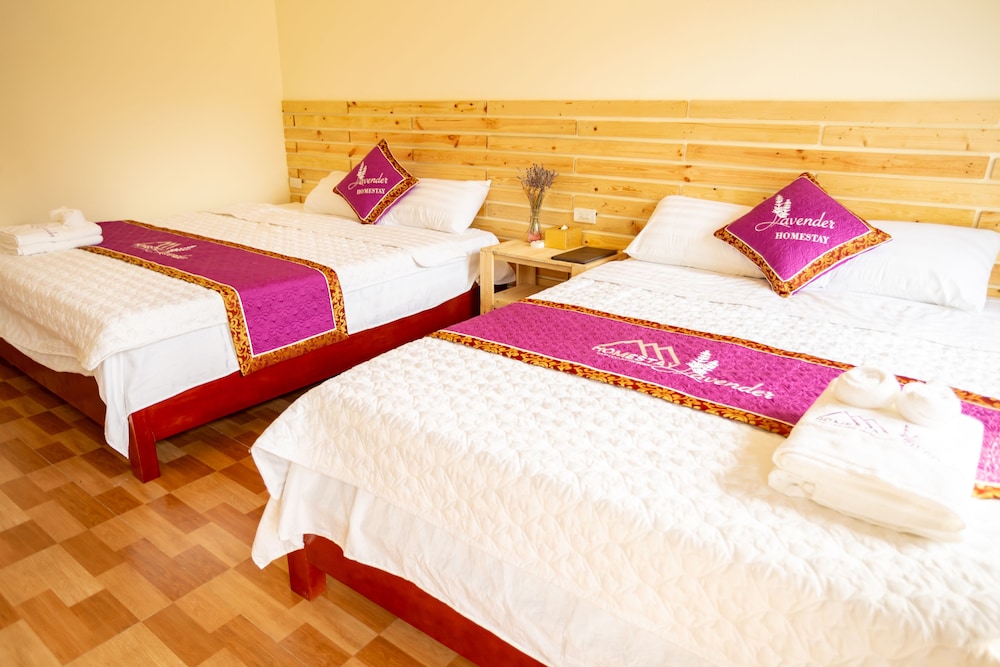 Standard Quadruple Room - Photo 2