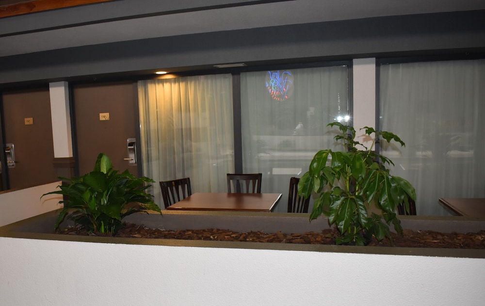Room, 1 King Bed with Sofa bed, Non Smoking, Patio - Photo 5