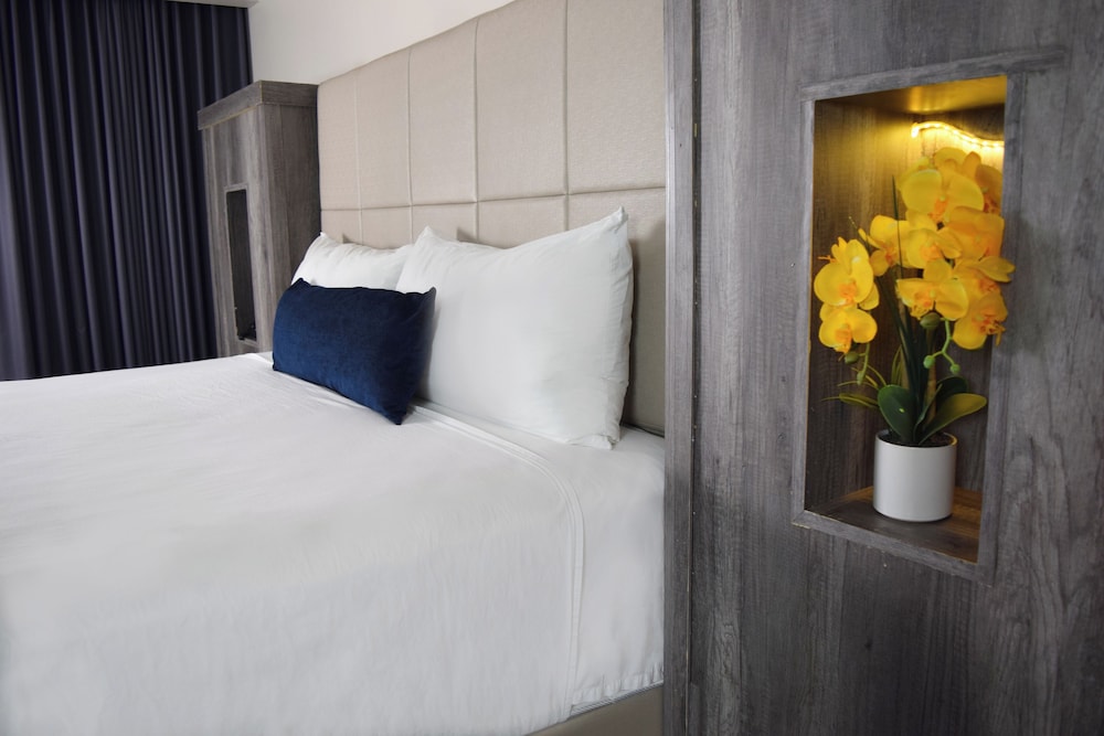 Premier Single Room photo 2