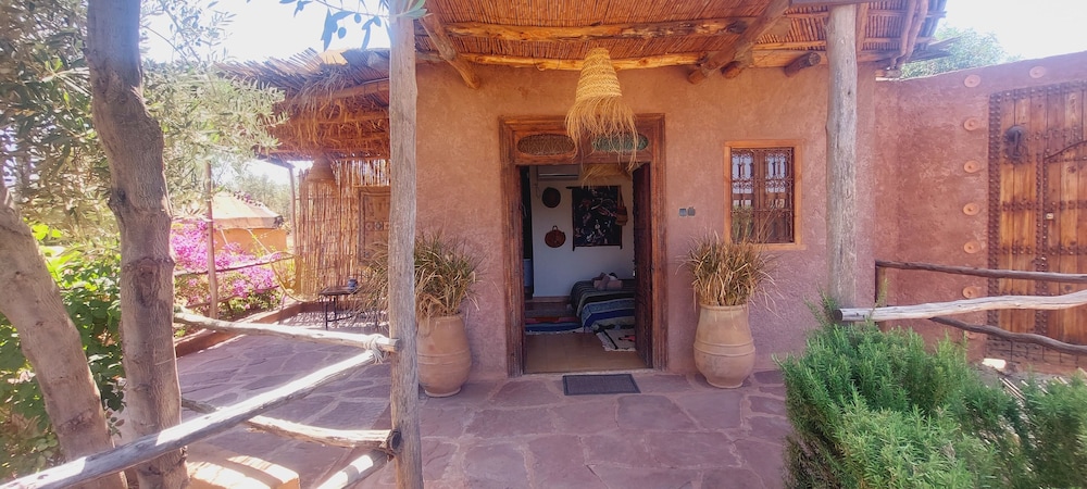Standard House - Photo 6