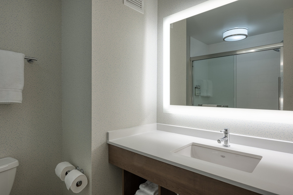 Suite, 1 King Bed - Photo 12