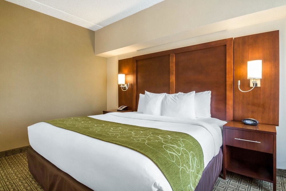 Suite, 1 King Bed, Non Smoking photo 3