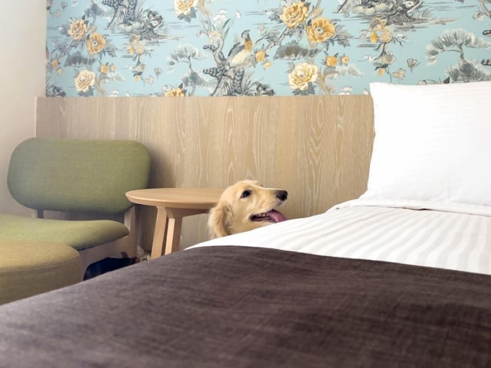 Deluxe Pet Room photo 2