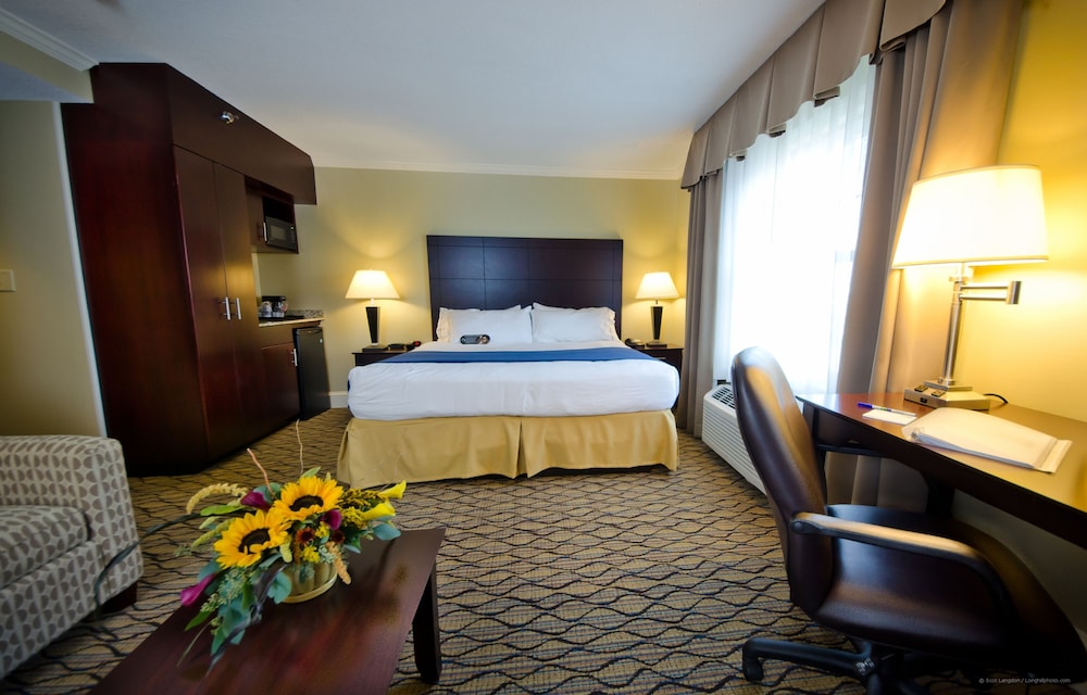 Suite, 1 King Bed - Photo 2