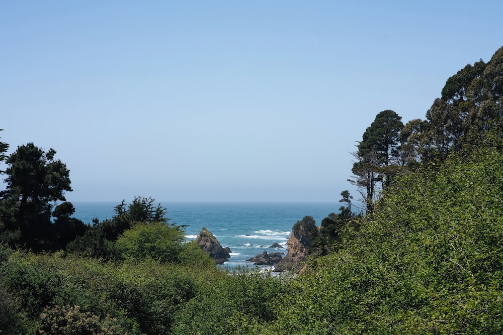 Mendocino Cove, Billede 7