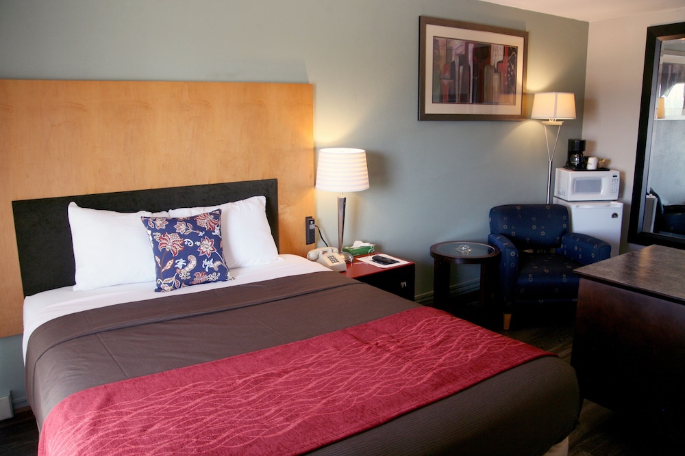 Basic Room, 1 Queen Bed, Smoking, City View photo 1
