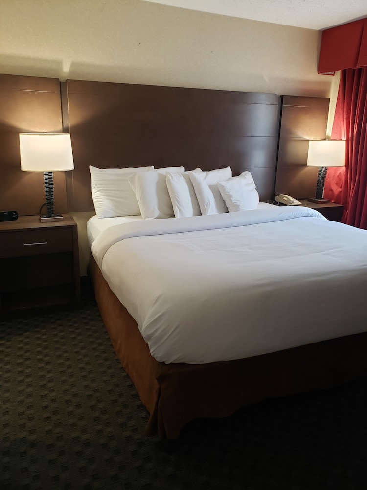 Standard Suite, 1 King Bed with Sofa bed, Jetted Tub (One-Bedroom) photo 1