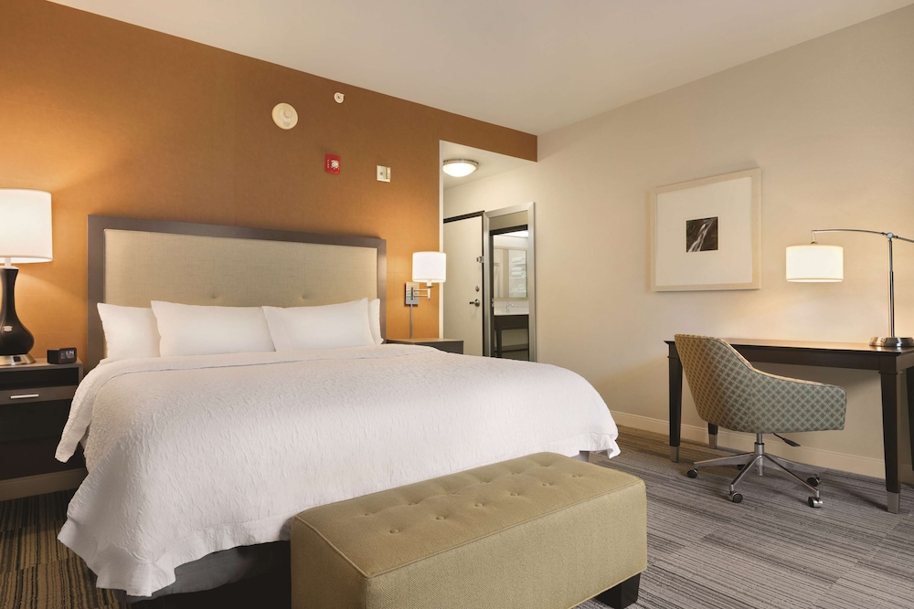 Room, 1 King Bed, Accessible (Roll-in Shower)