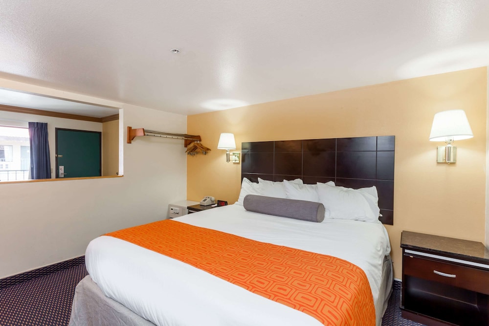 Suite, 1 King Bed - Photo 1