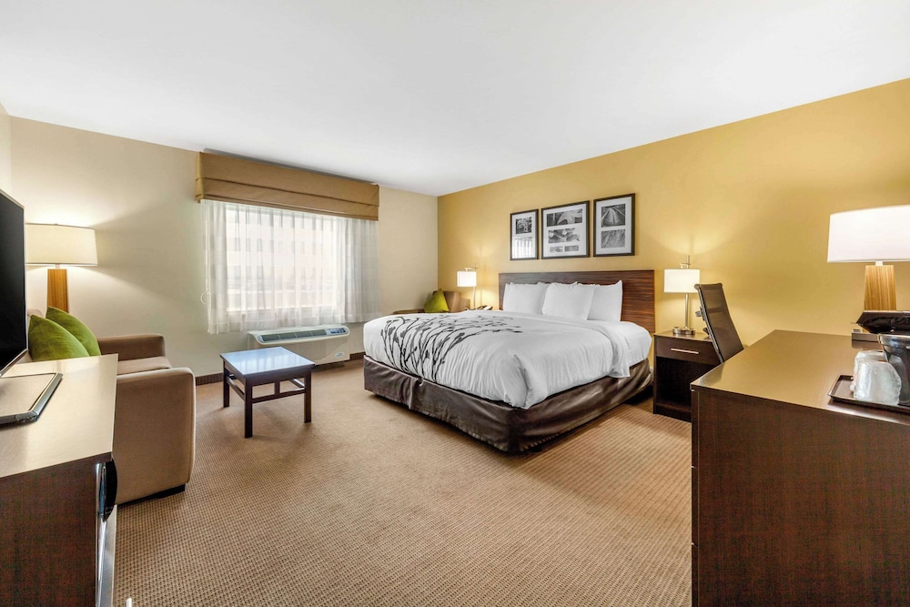 Suite, 1 King Bed with Sofa bed, Accessible, Non Smoking photo 1