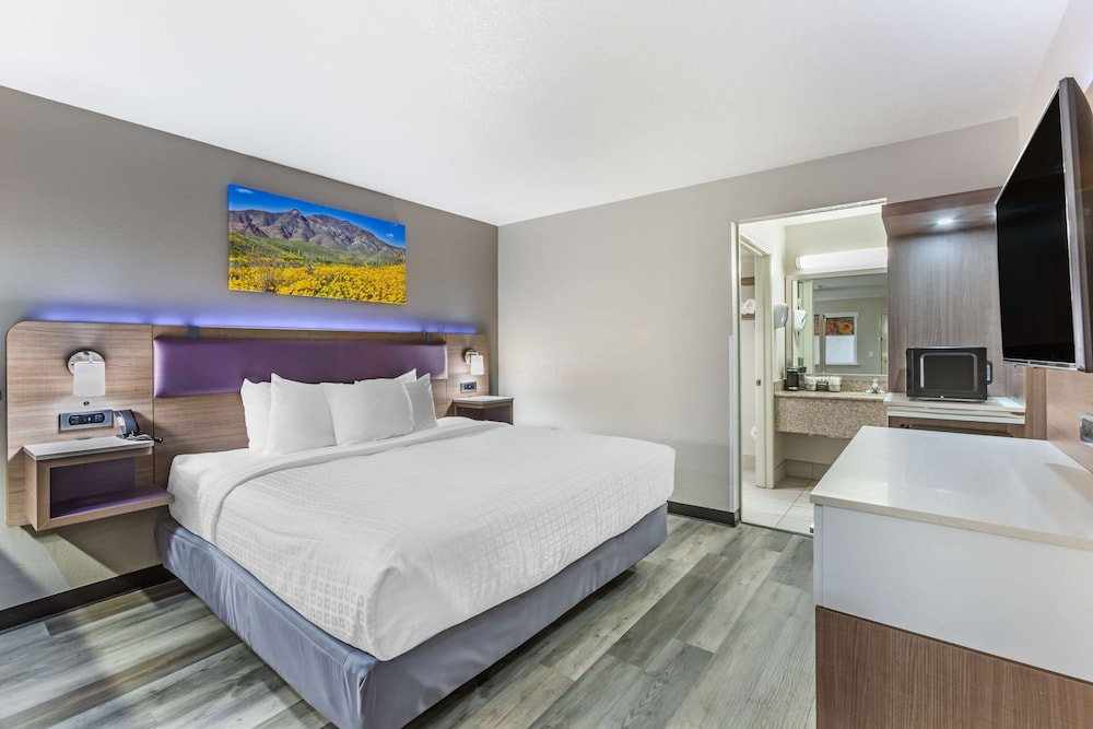 Standard Room, 1 King Bed, Non Smoking, Refrigerator & Microwave (Larger Room;with Sofabed) - Photo 3