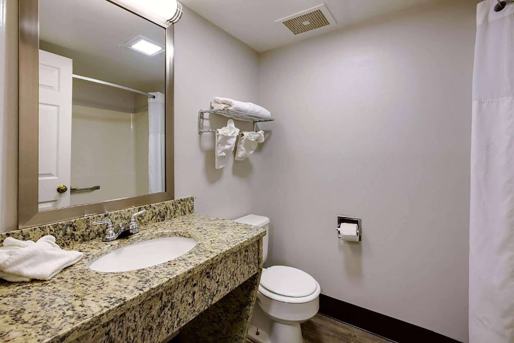 Suite, 1 King Bed, Non Smoking (Efficiency, Pet-friendly) - Photo 3