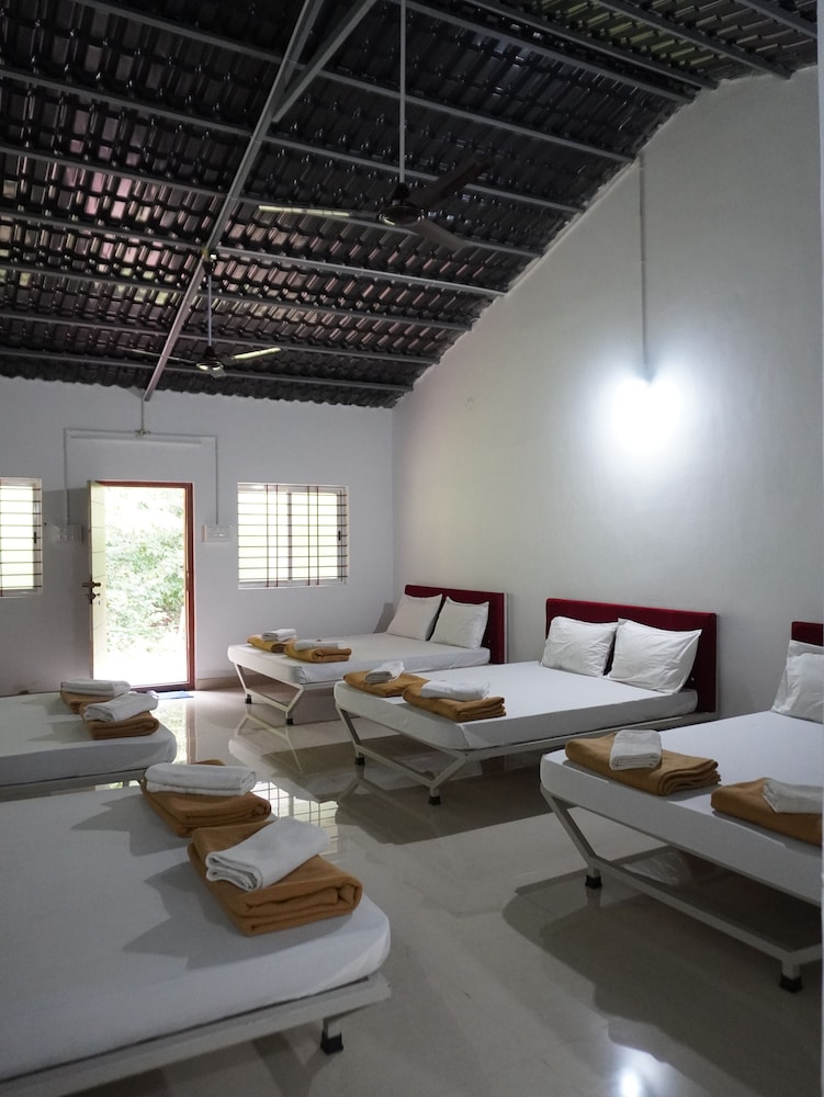 Basic Shared Dormitory photo 3